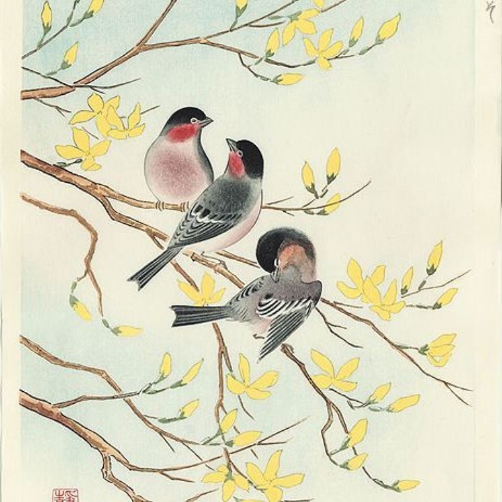 Photo de Michel AZAN